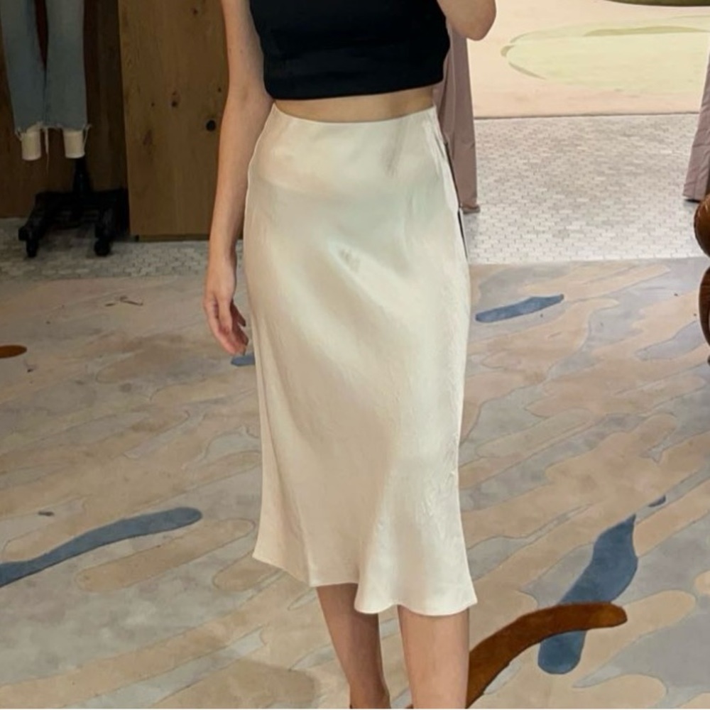 Aritzia Elegant Light Pink Champagne Midi Skirt